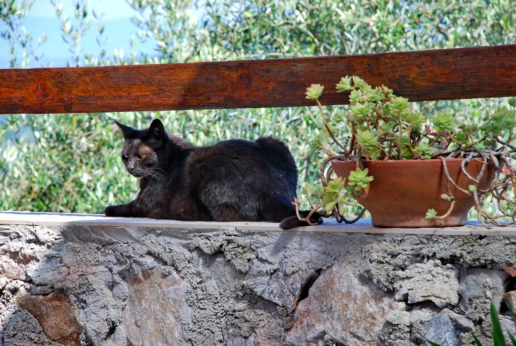 Ospitalità Rurale L'uccelliera Lucca