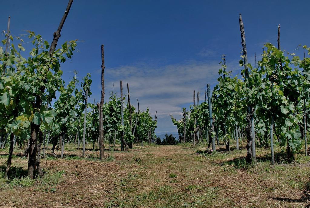 Bed & Breakfast Ospitalita Rurale L'uccelliera Lucca