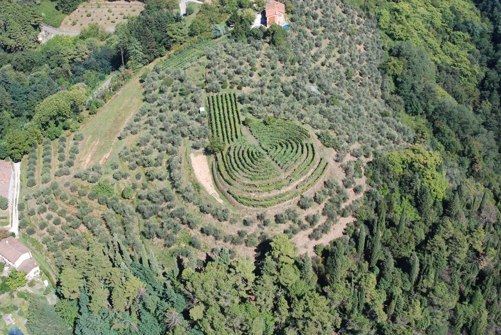 Ospitalita Rurale L'uccelliera Lucca