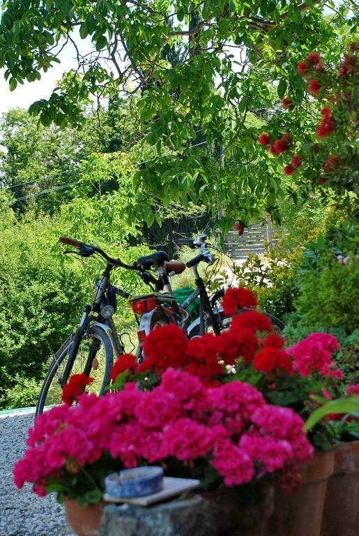 Ospitalita Rurale L'uccelliera Bed & Breakfast