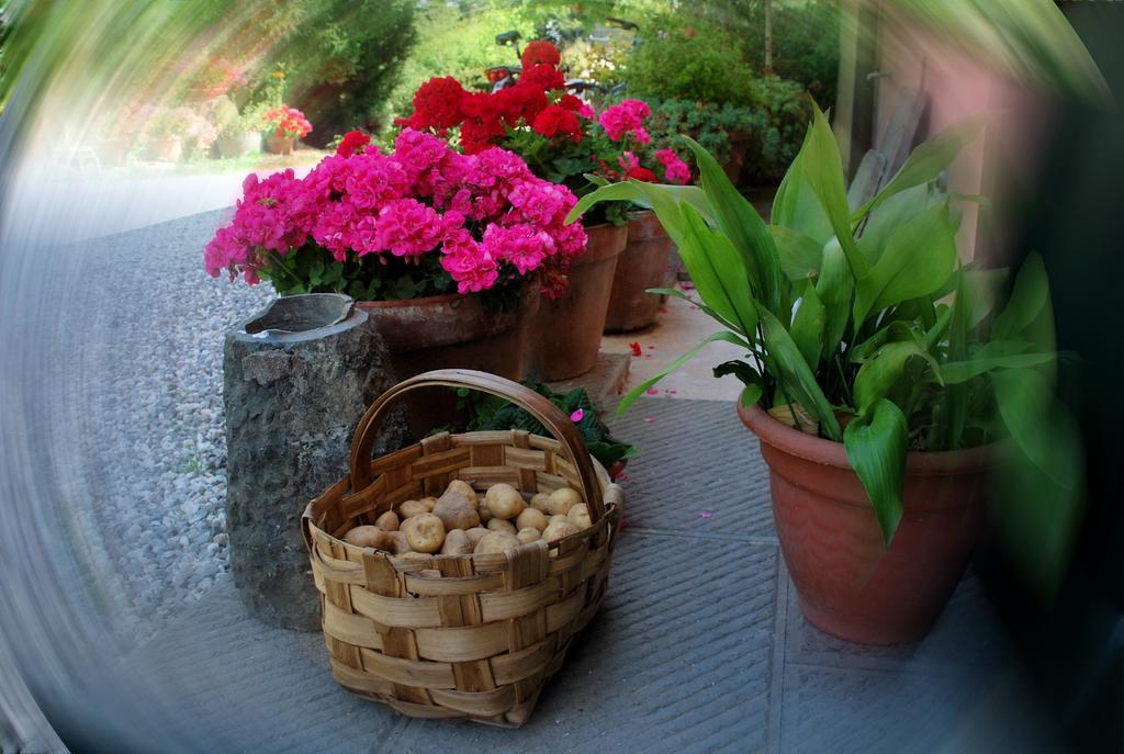 Ospitalita Rurale L'uccelliera Bed & Breakfast