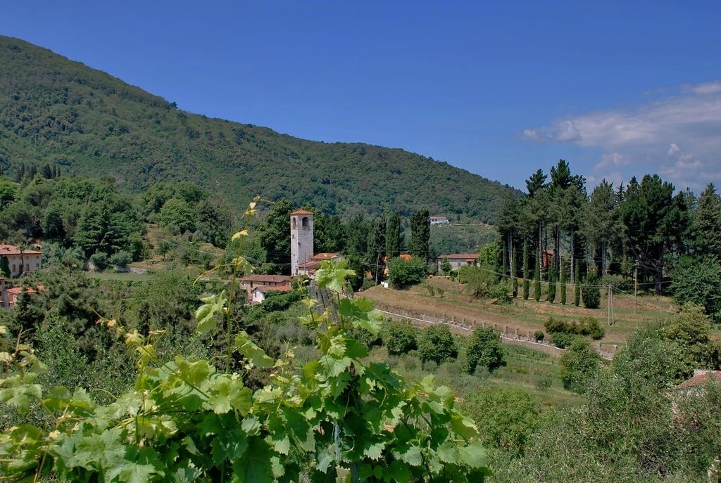 Ospitalita Rurale L'uccelliera Bed & Breakfast