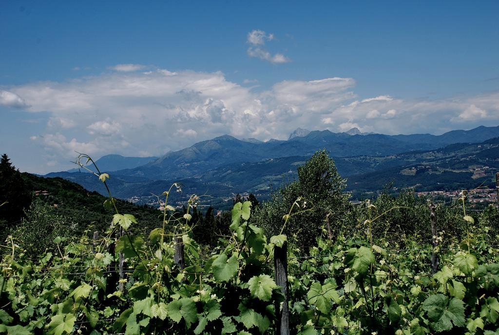 Bed & Breakfast Ospitalita Rurale L'uccelliera Lucca
