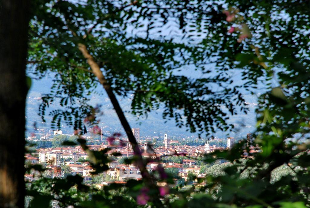 Ospitalita Rurale L'uccelliera *